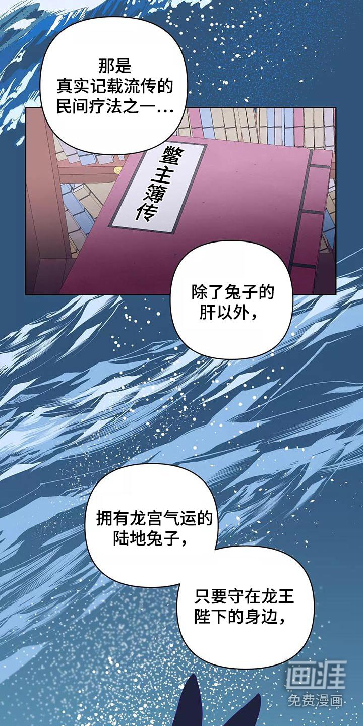 第62章：协议书
