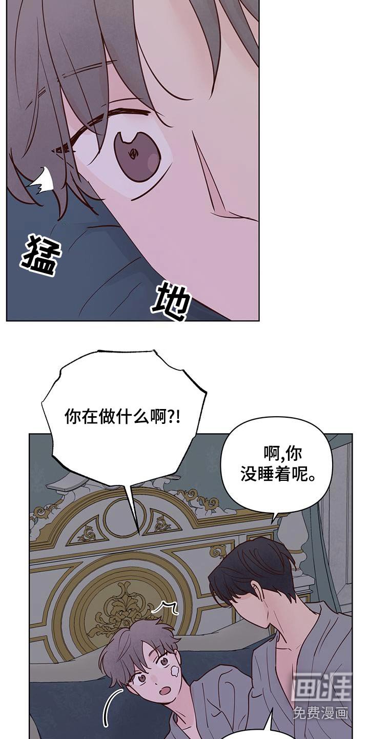 第64章：蛋糕