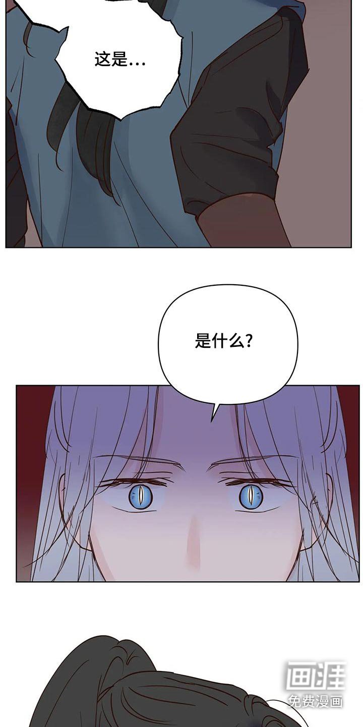 第71章：那是