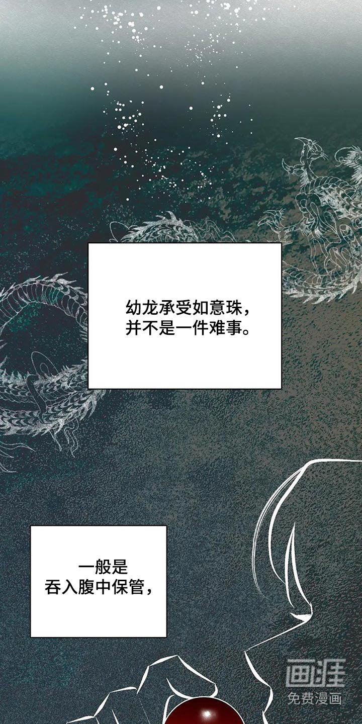 第73章：龙珠