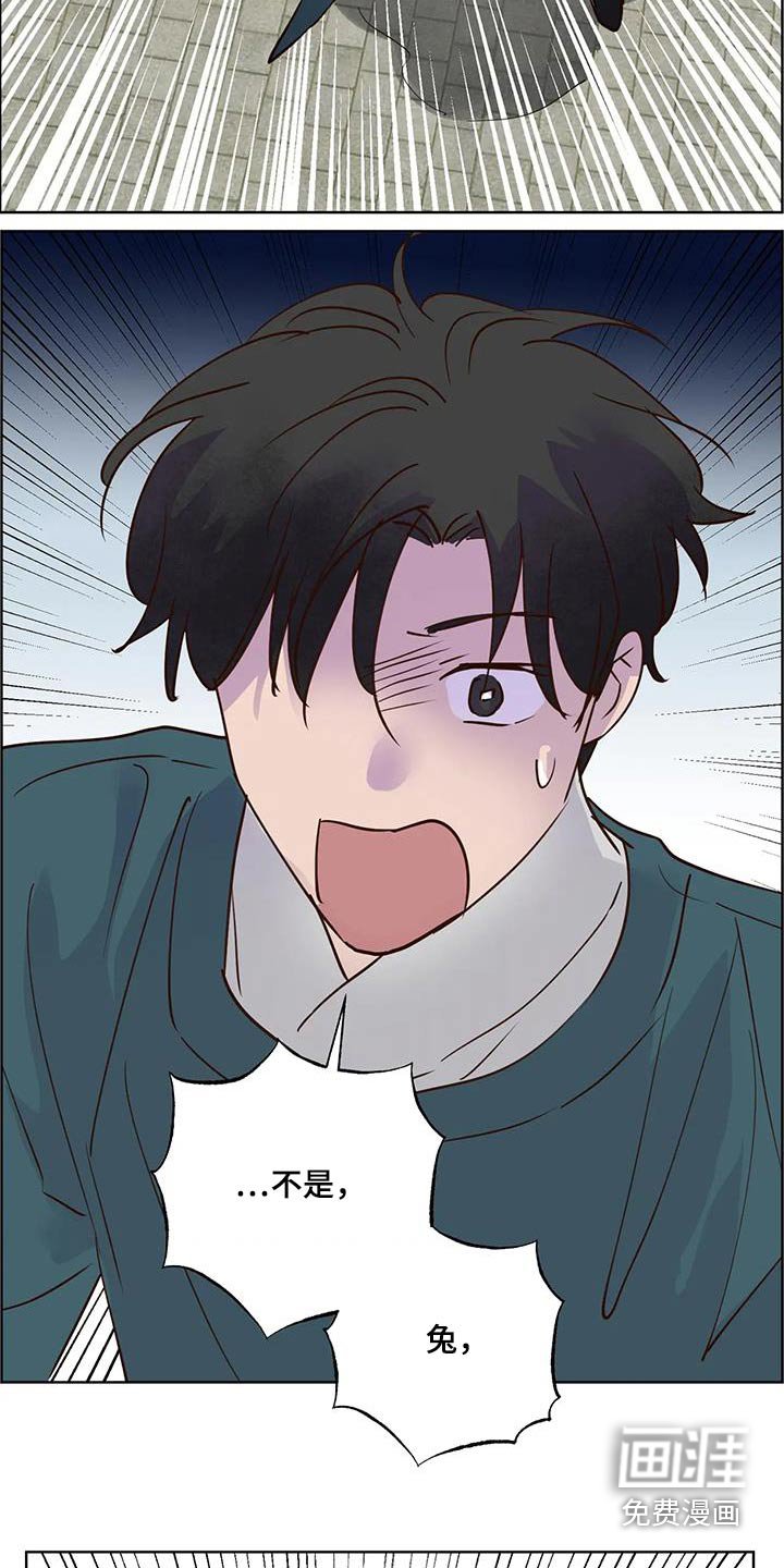 第80章：动静