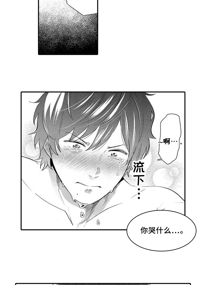 第12章：代表