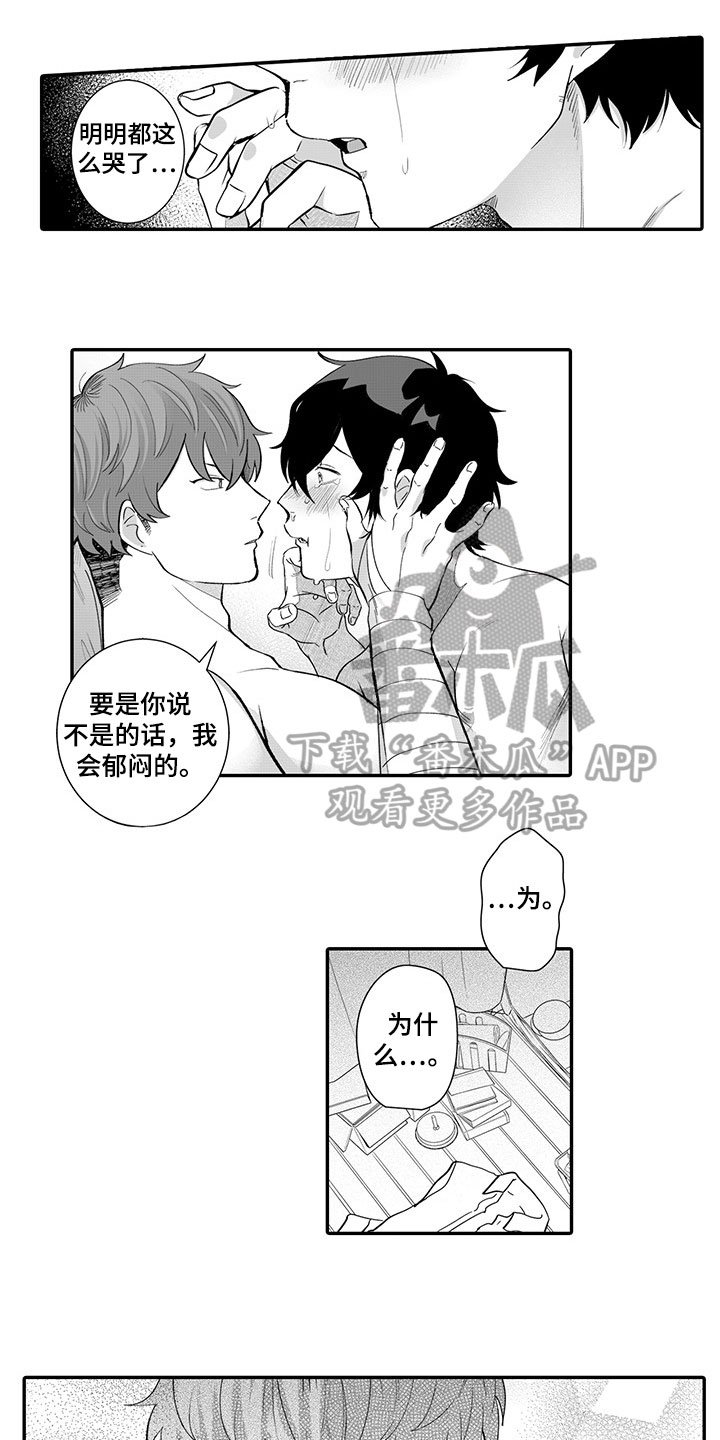 第13章：表白