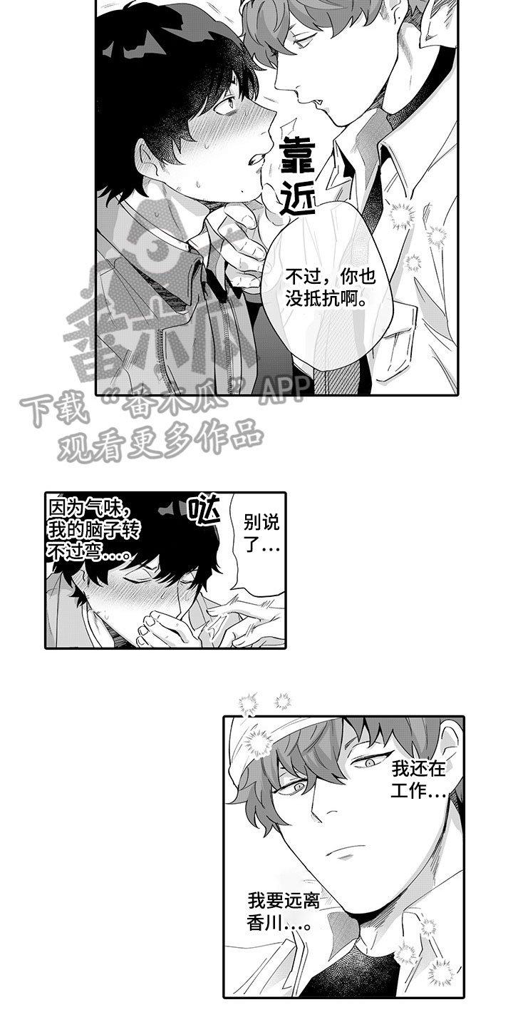 第4章：纠缠不休