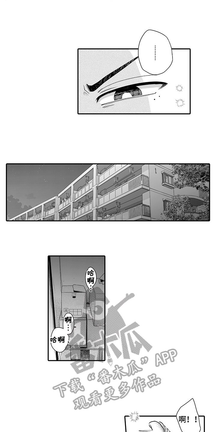 第4章：纠缠不休