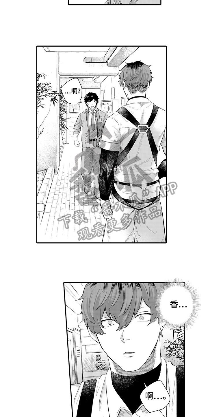 第9章：约定