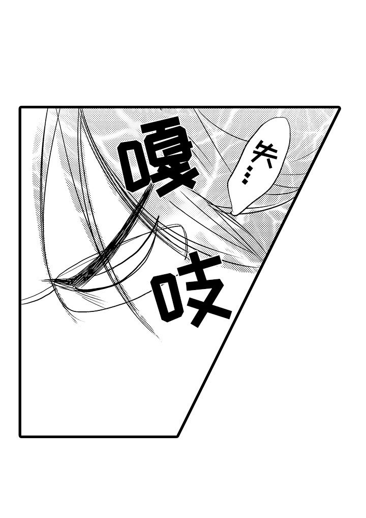 第3章：第一次合弹