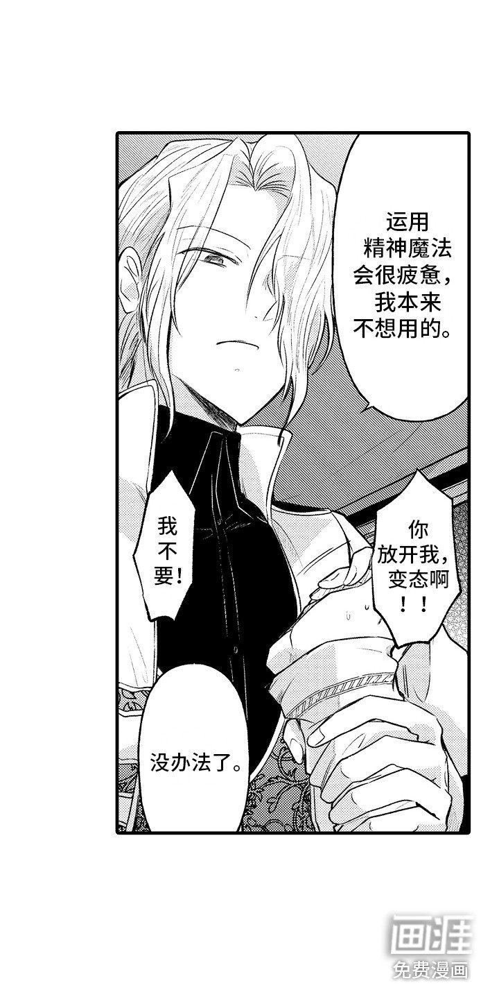 第16章：精神魔法 