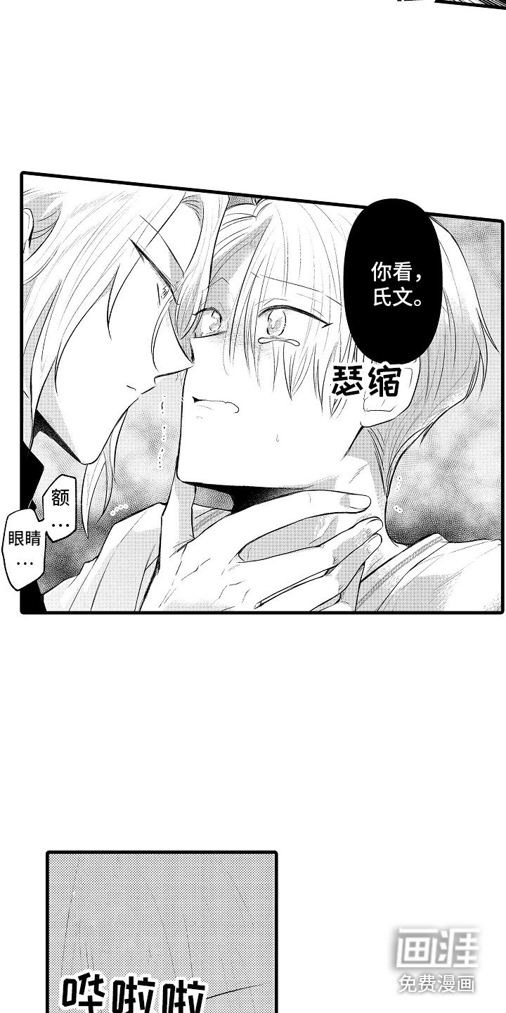 第16章：精神魔法 