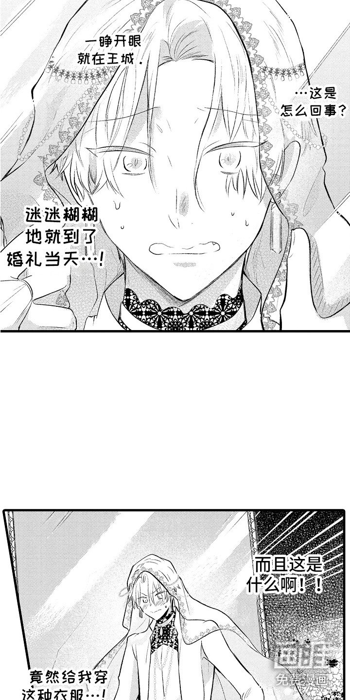 第23章：婚礼当天