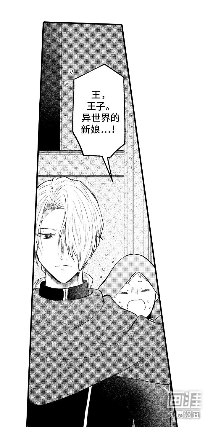 第24章：逃跑 