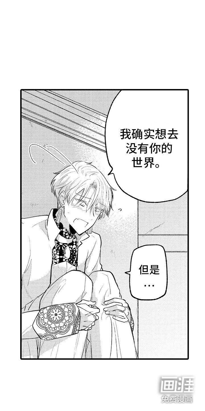 第26章：坦白