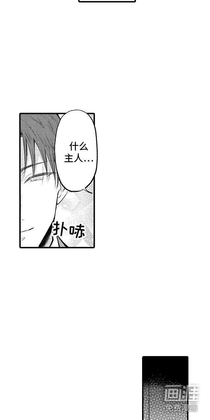 第29章：回归