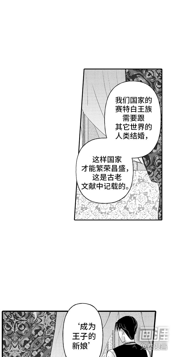 第5章：义务