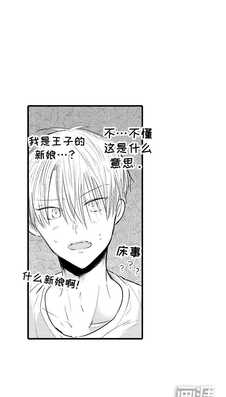 第5章：义务