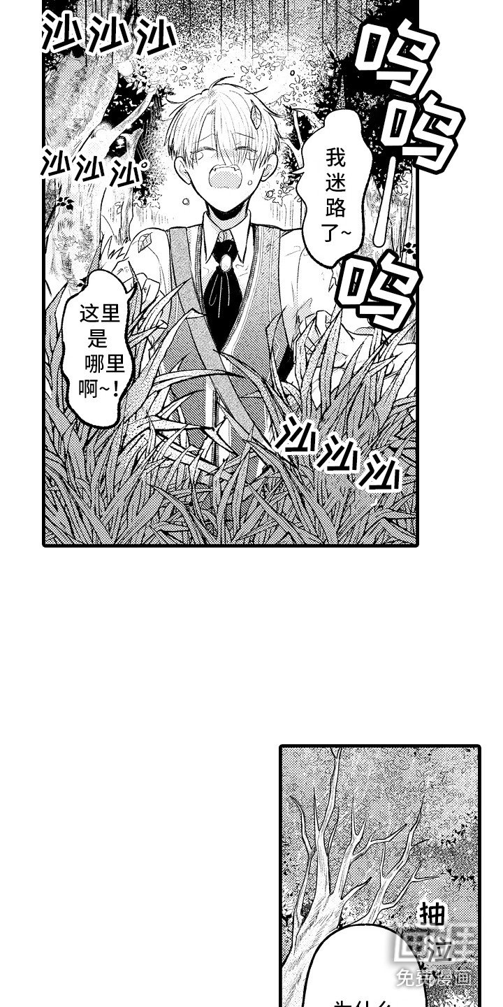 第8章：迷路了