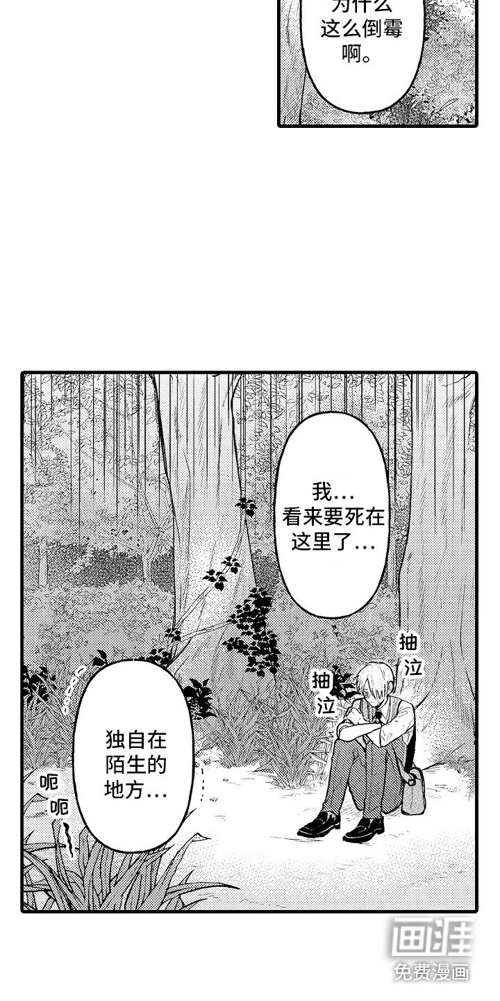 第8章：迷路了