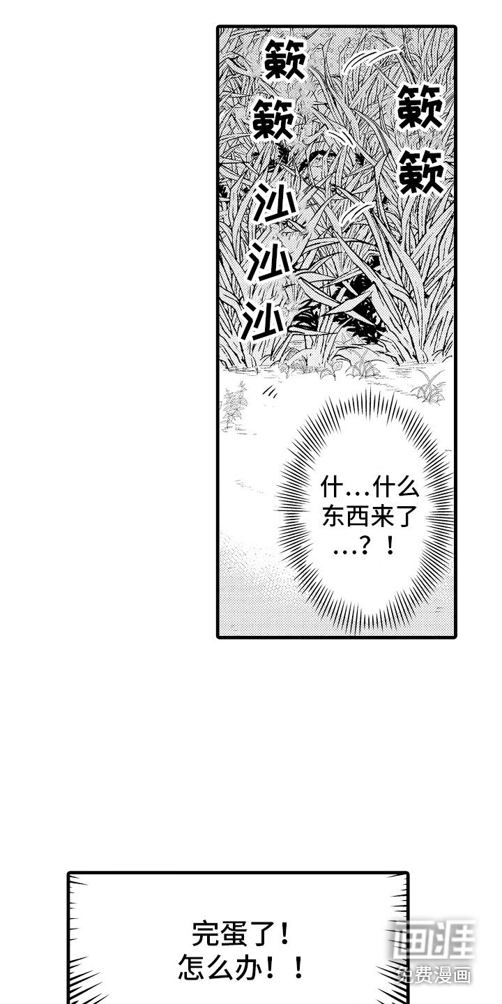 第9章：魔兽