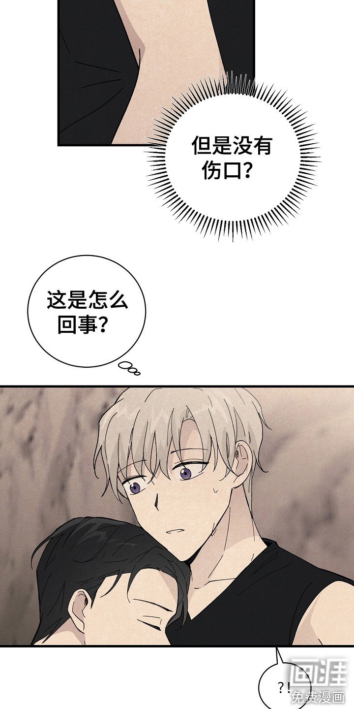 第11章：匹配度