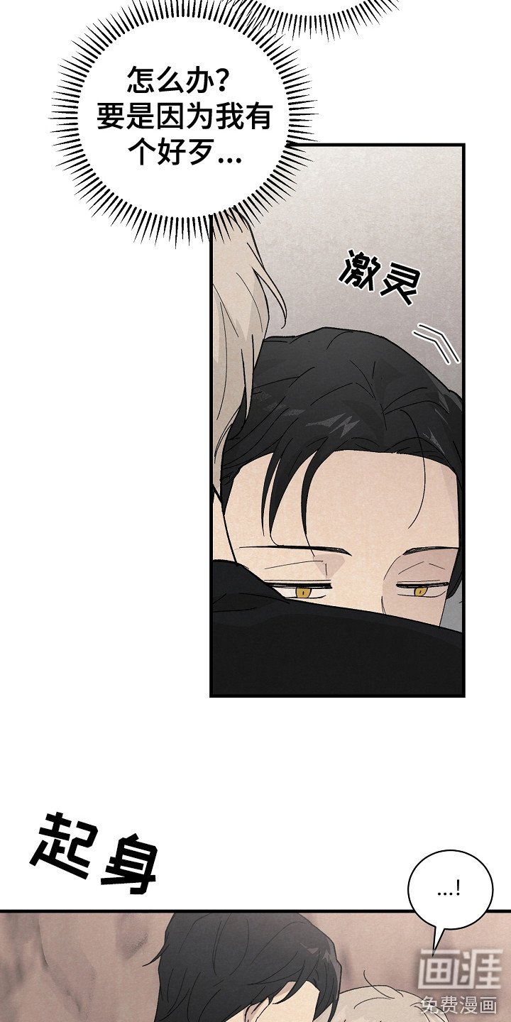 第11章：匹配度