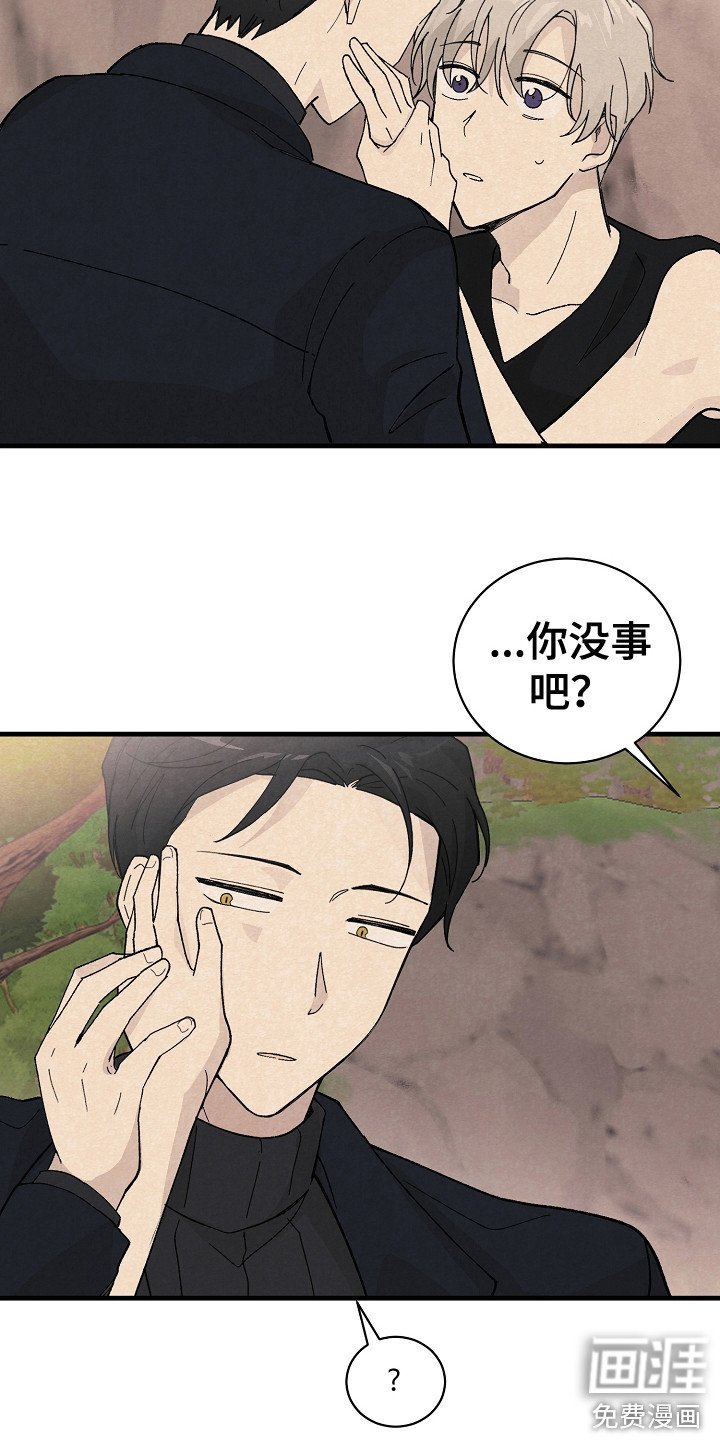 第11章：匹配度