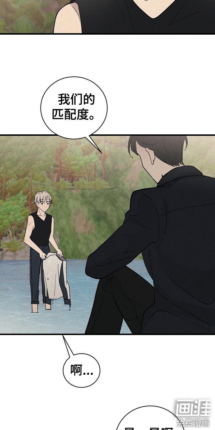 第11章：匹配度