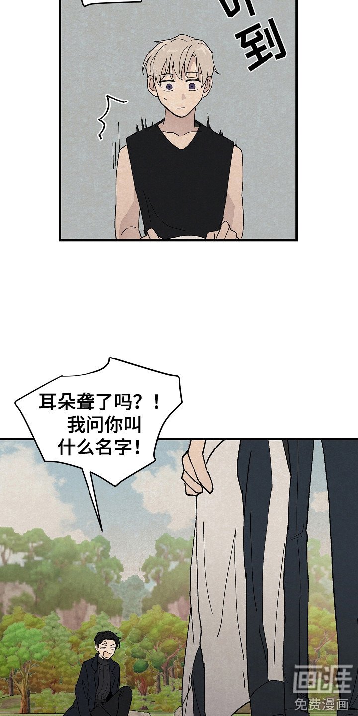 第12章：同行