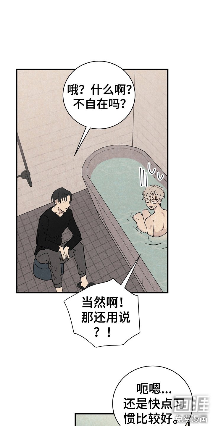 第19章：带回家
