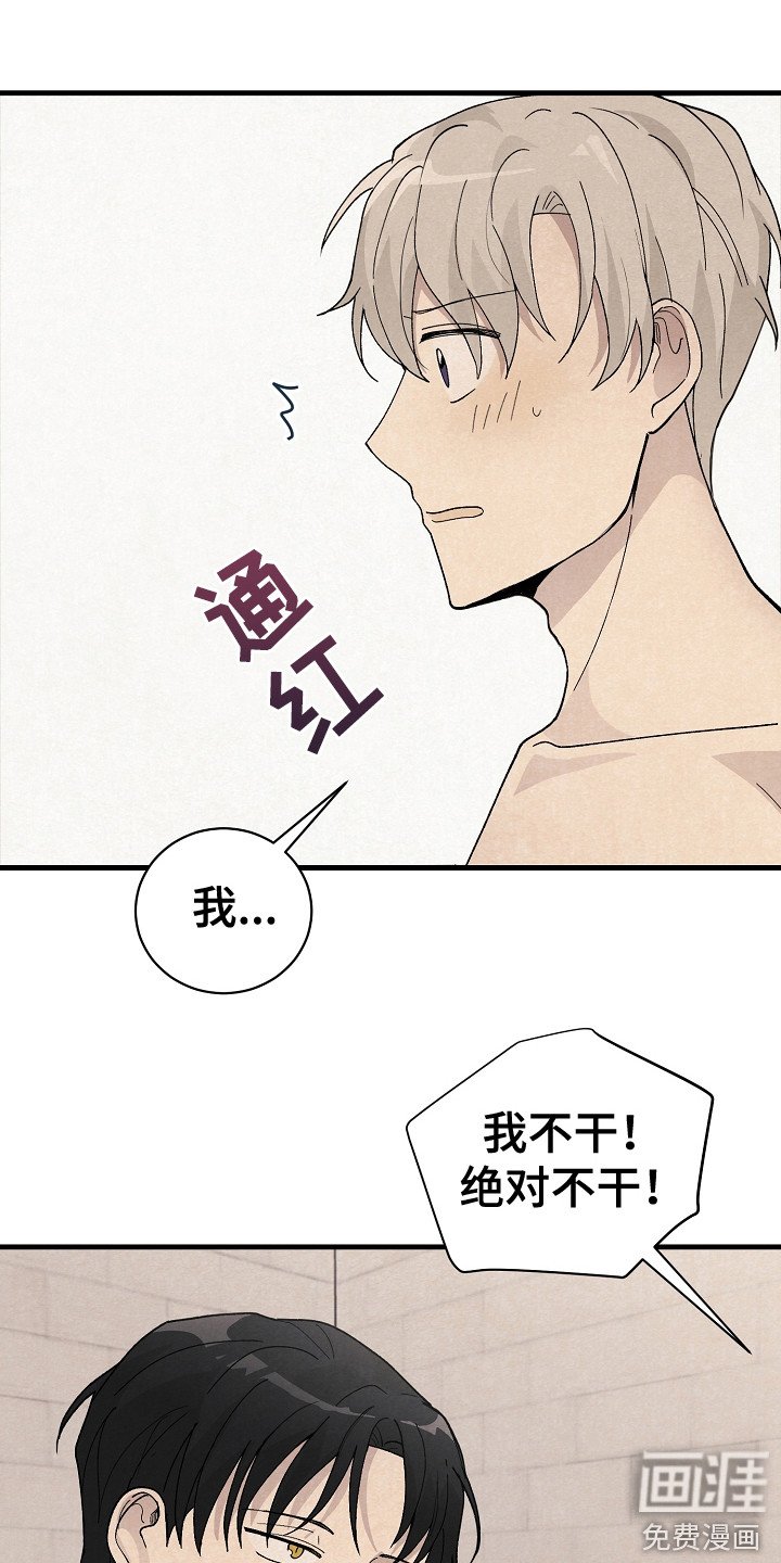 第19章：带回家