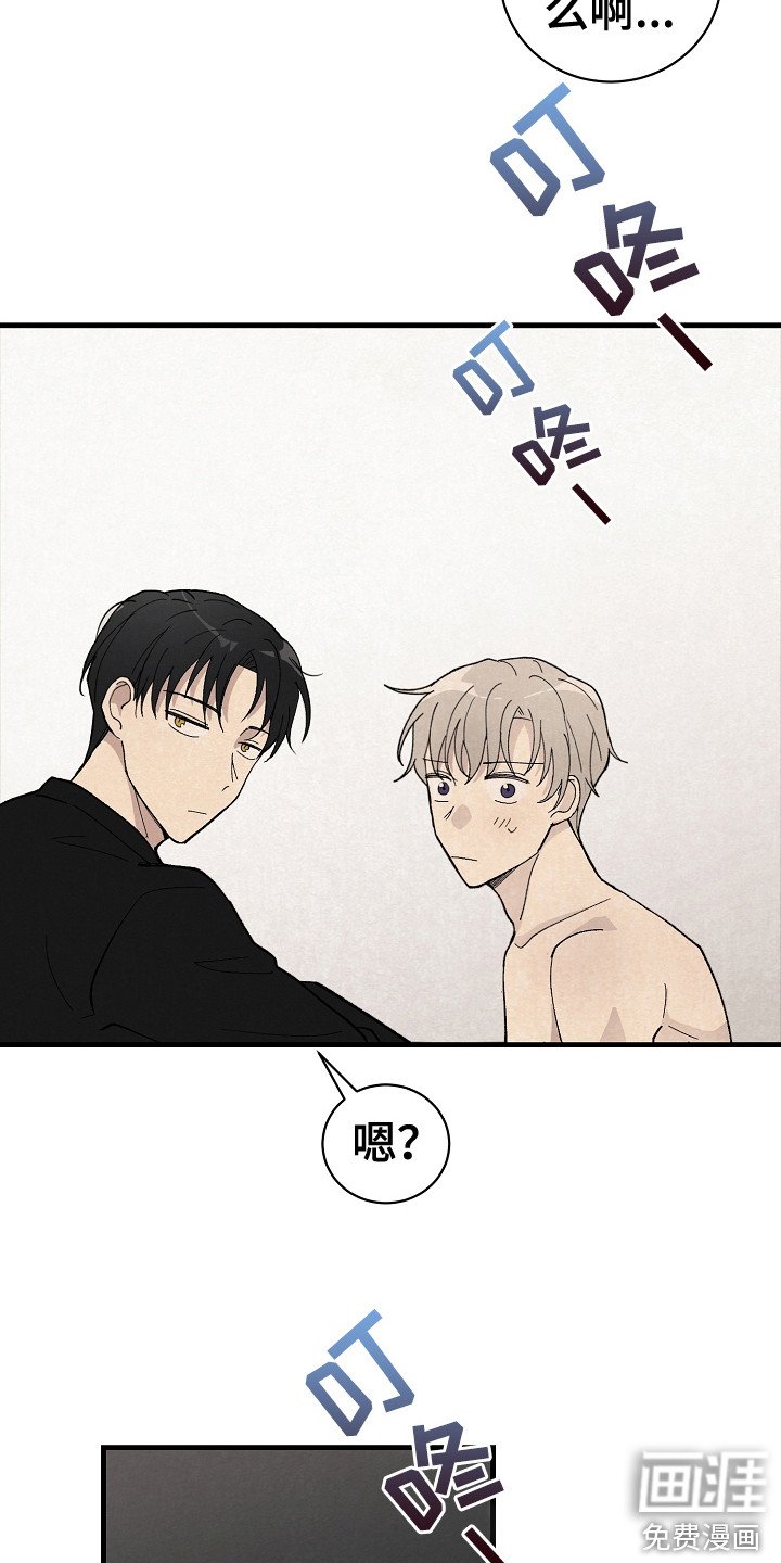 第19章：带回家