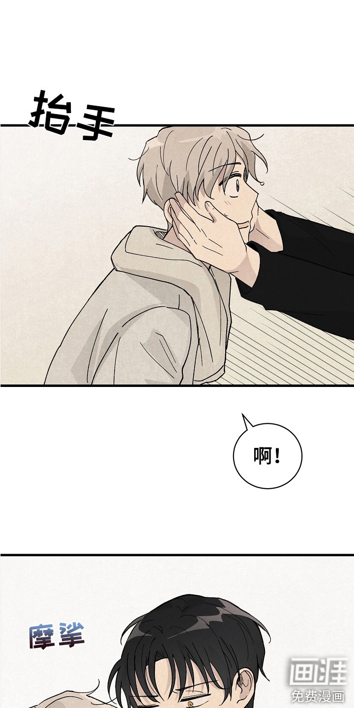 第20章：不相信