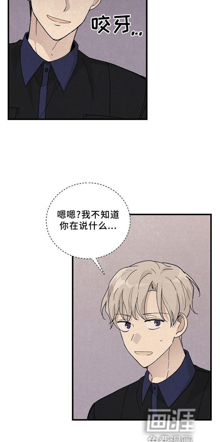 第23章：匹配