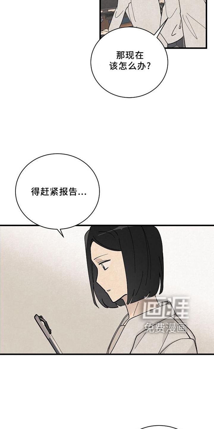 第23章：匹配