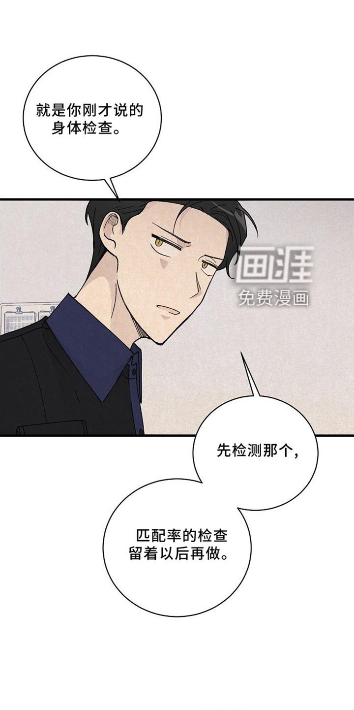 第23章：匹配
