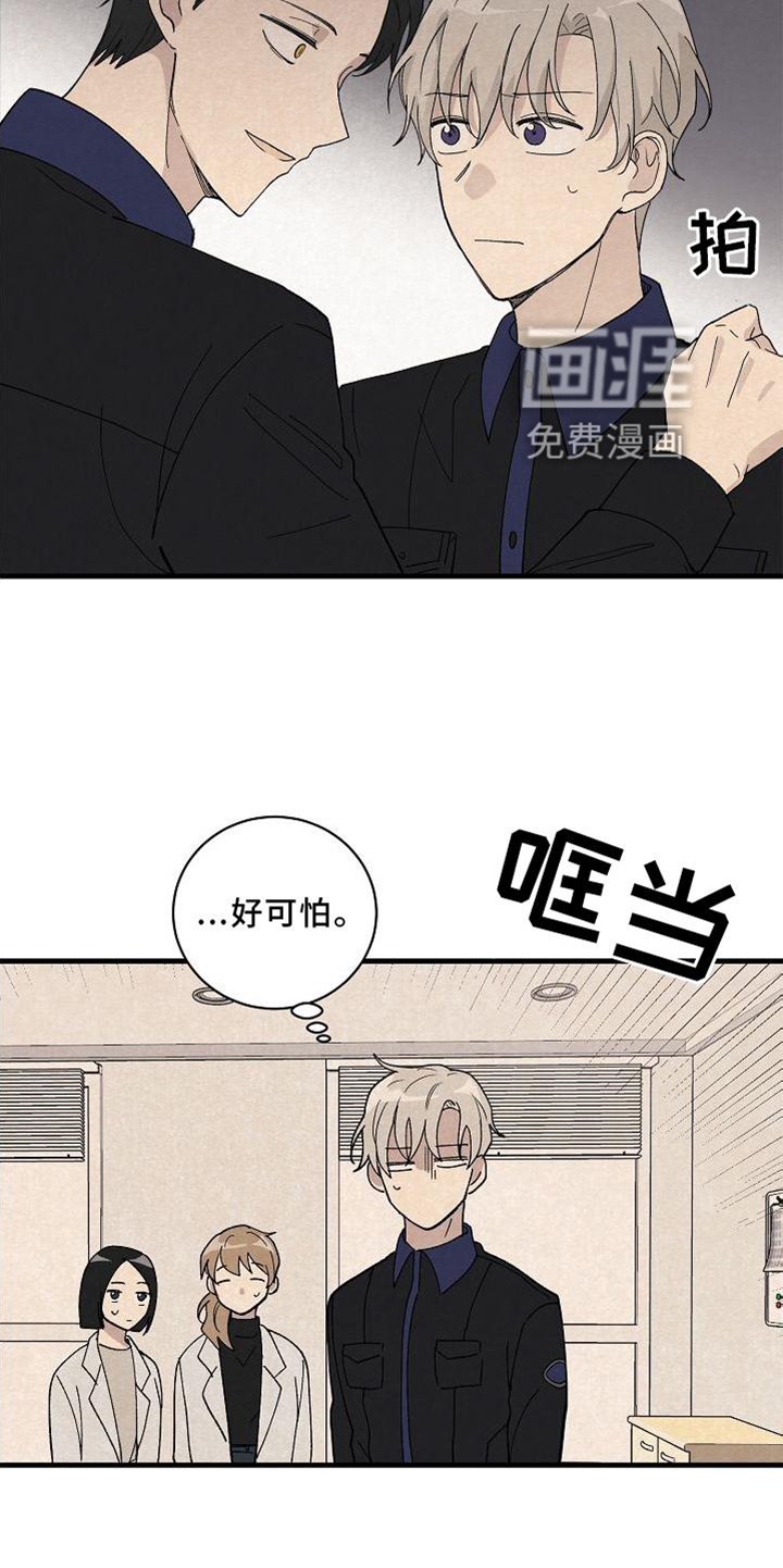 第23章：匹配