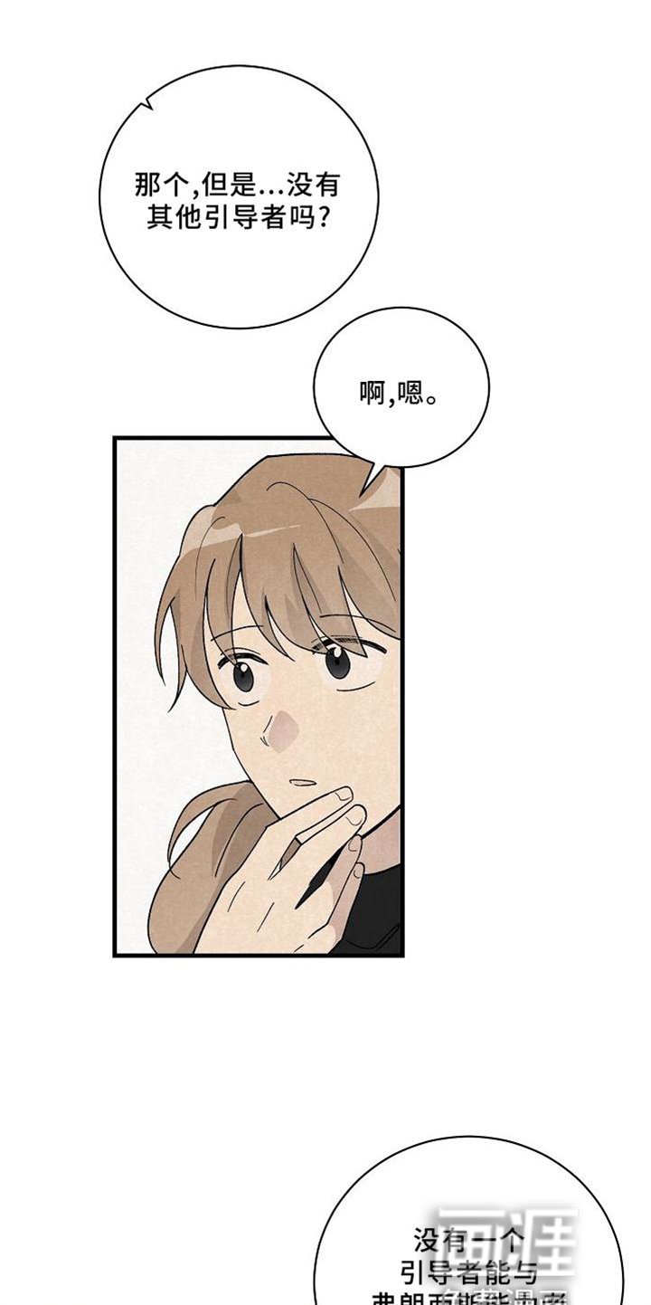 第23章：匹配