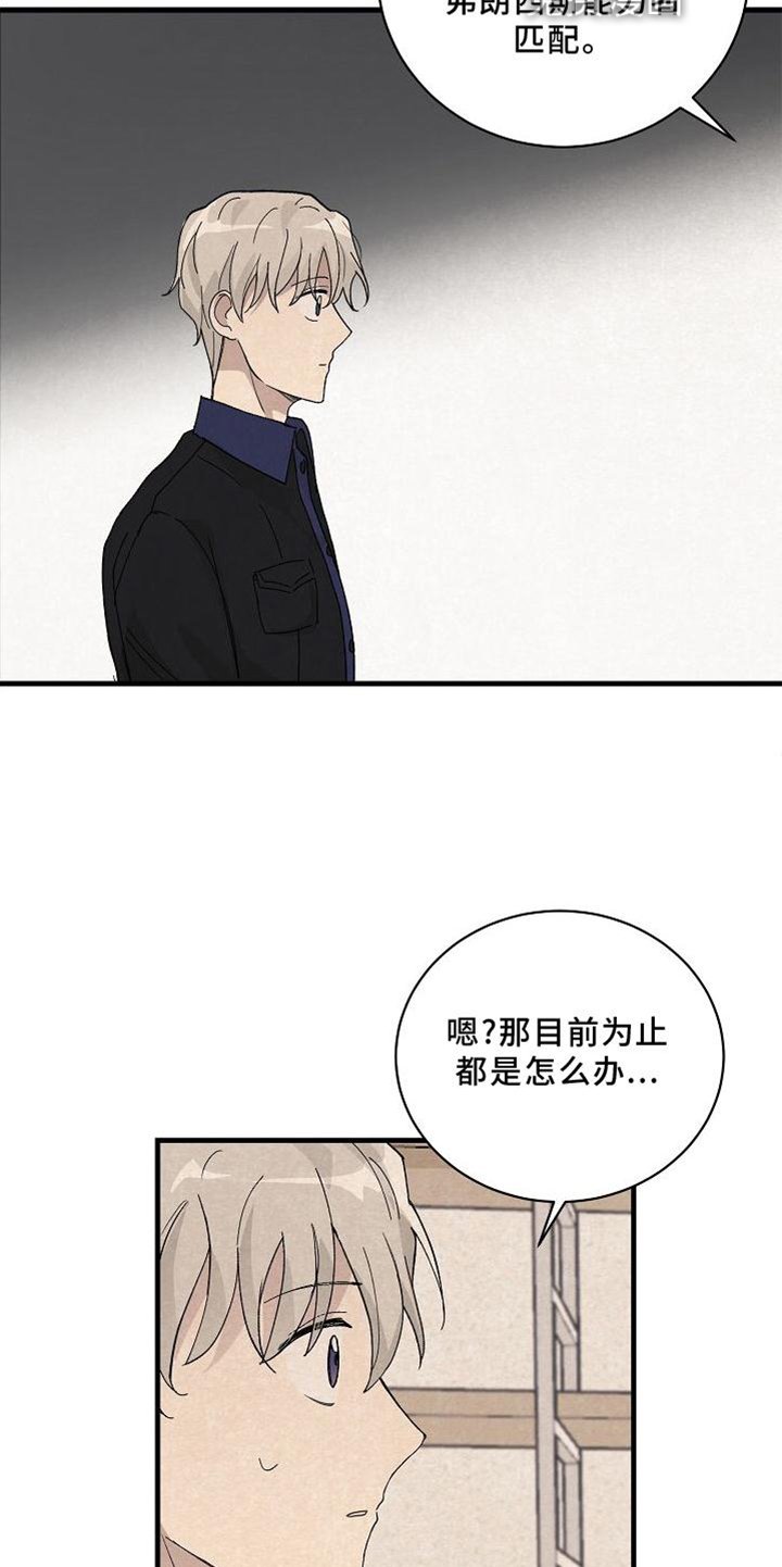 第23章：匹配