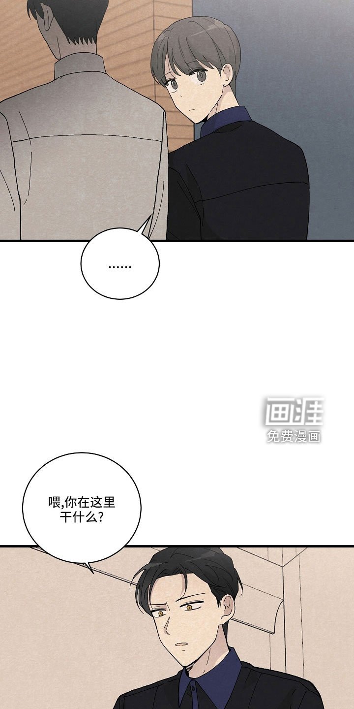 第26章：笨蛋一样
