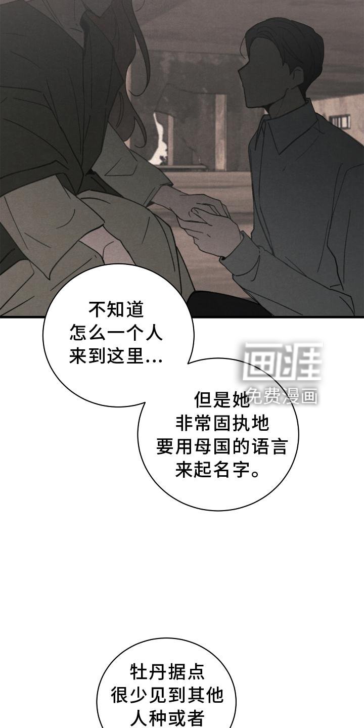 第28章：交代
