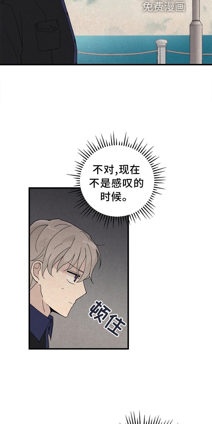 第28章：交代