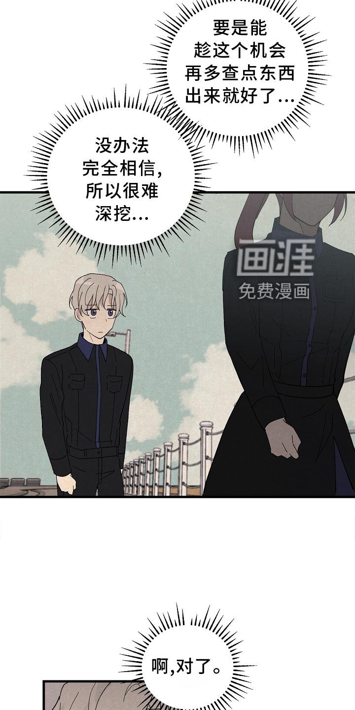 第28章：交代