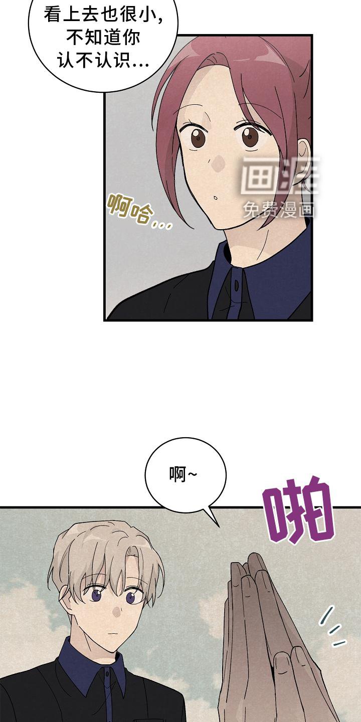 第28章：交代