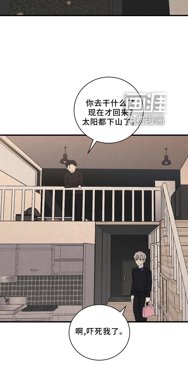 第28章：交代