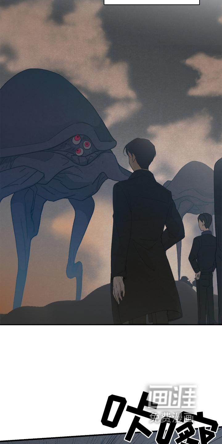第30章：了解