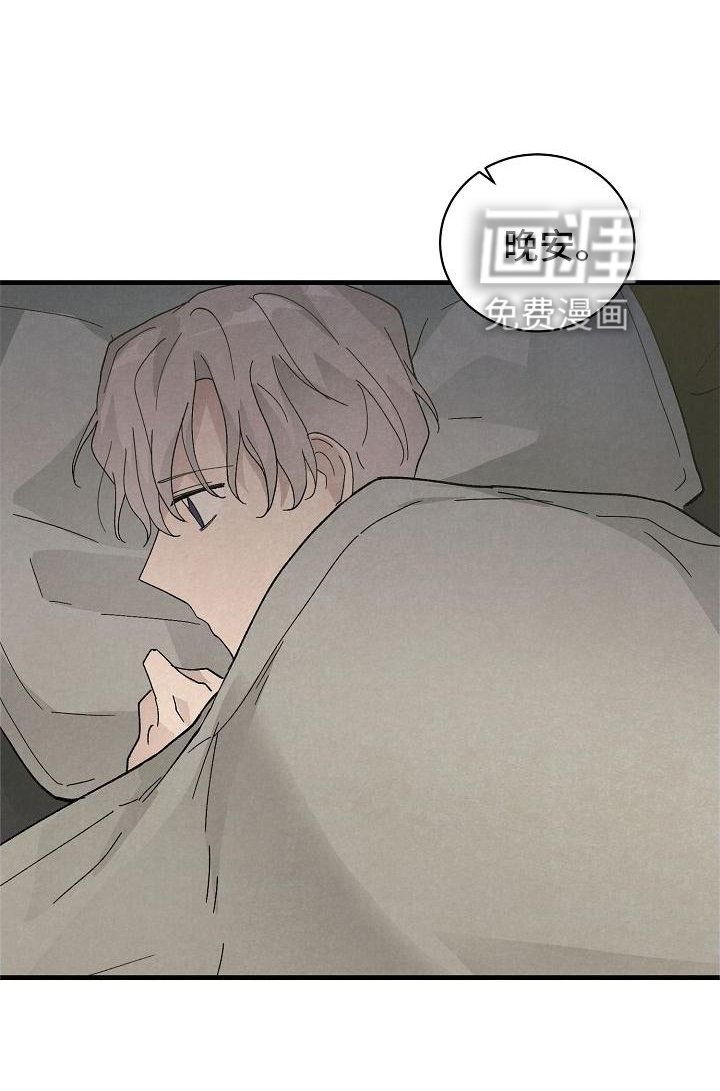 第33章：晚安