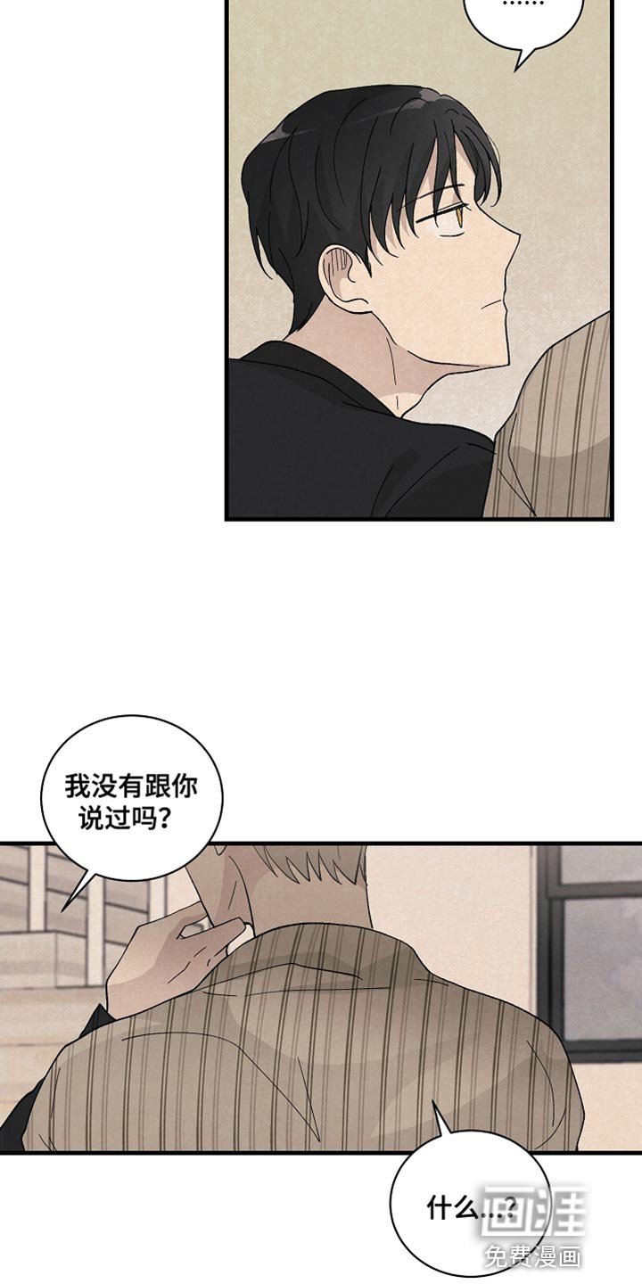 第36章：表白