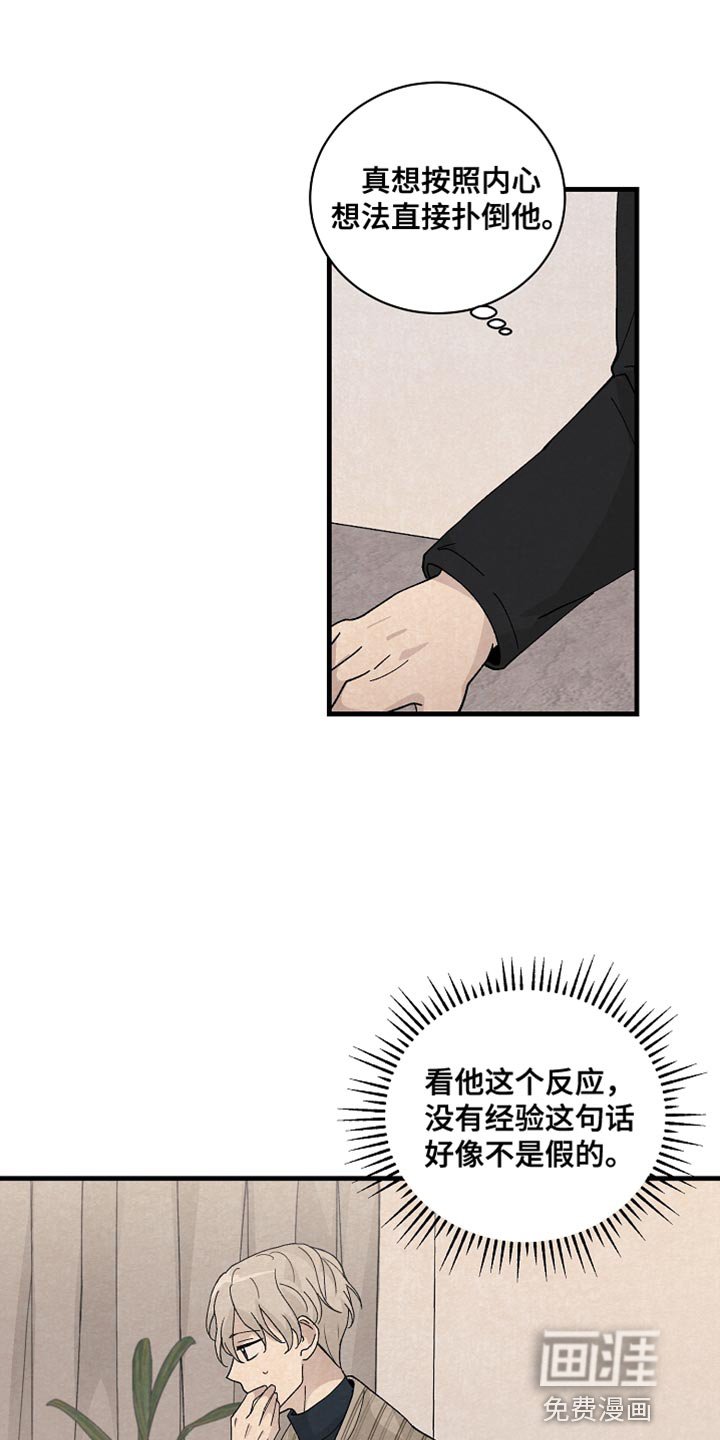 第37章：如实回答