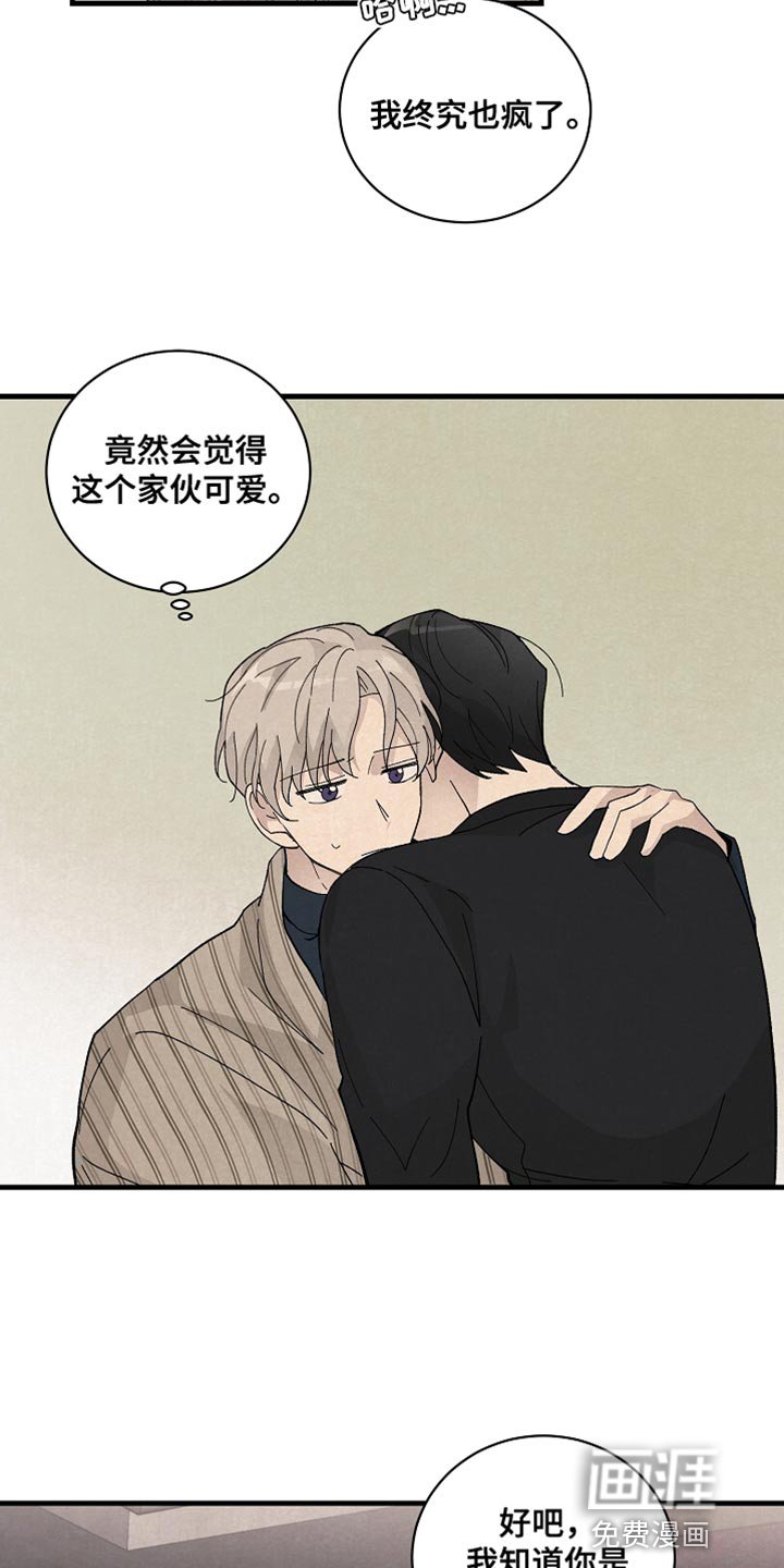 第37章：如实回答