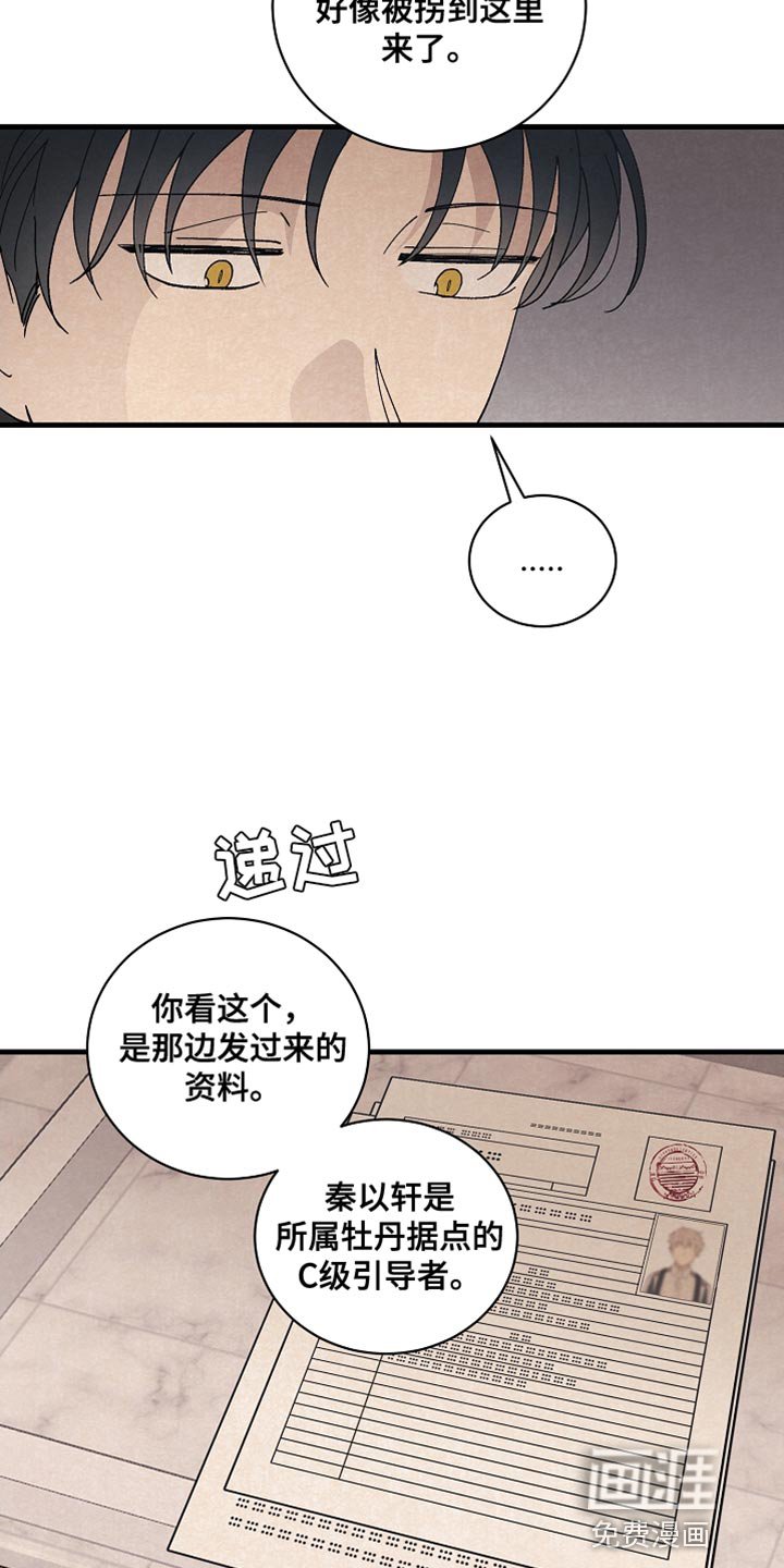 第37章：如实回答