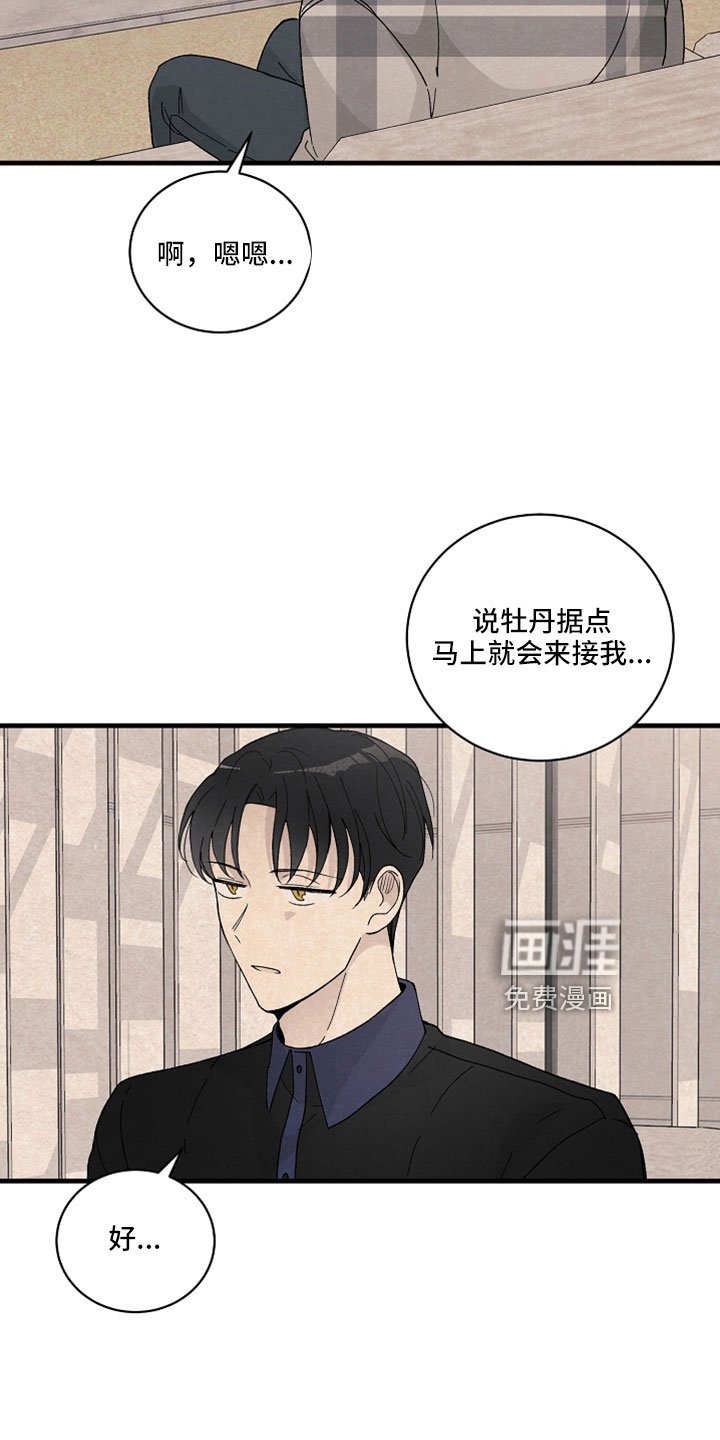 第39章：回答我